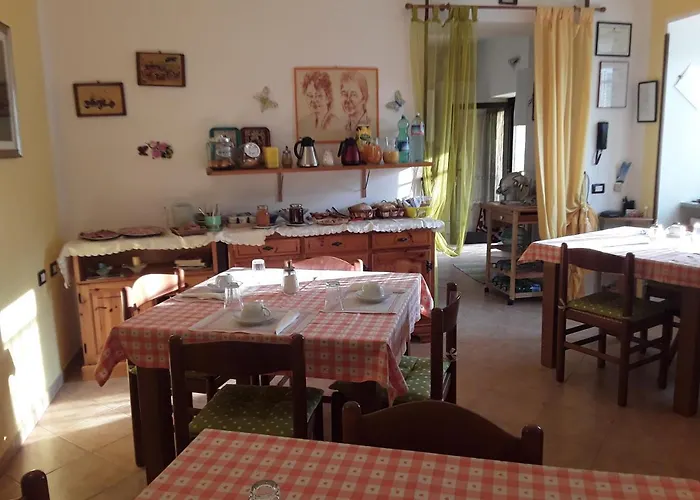 B&B Pivi