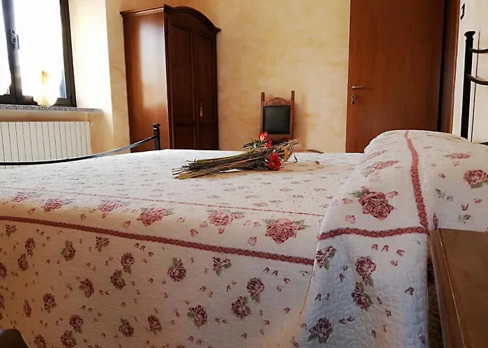 B&B Pivi