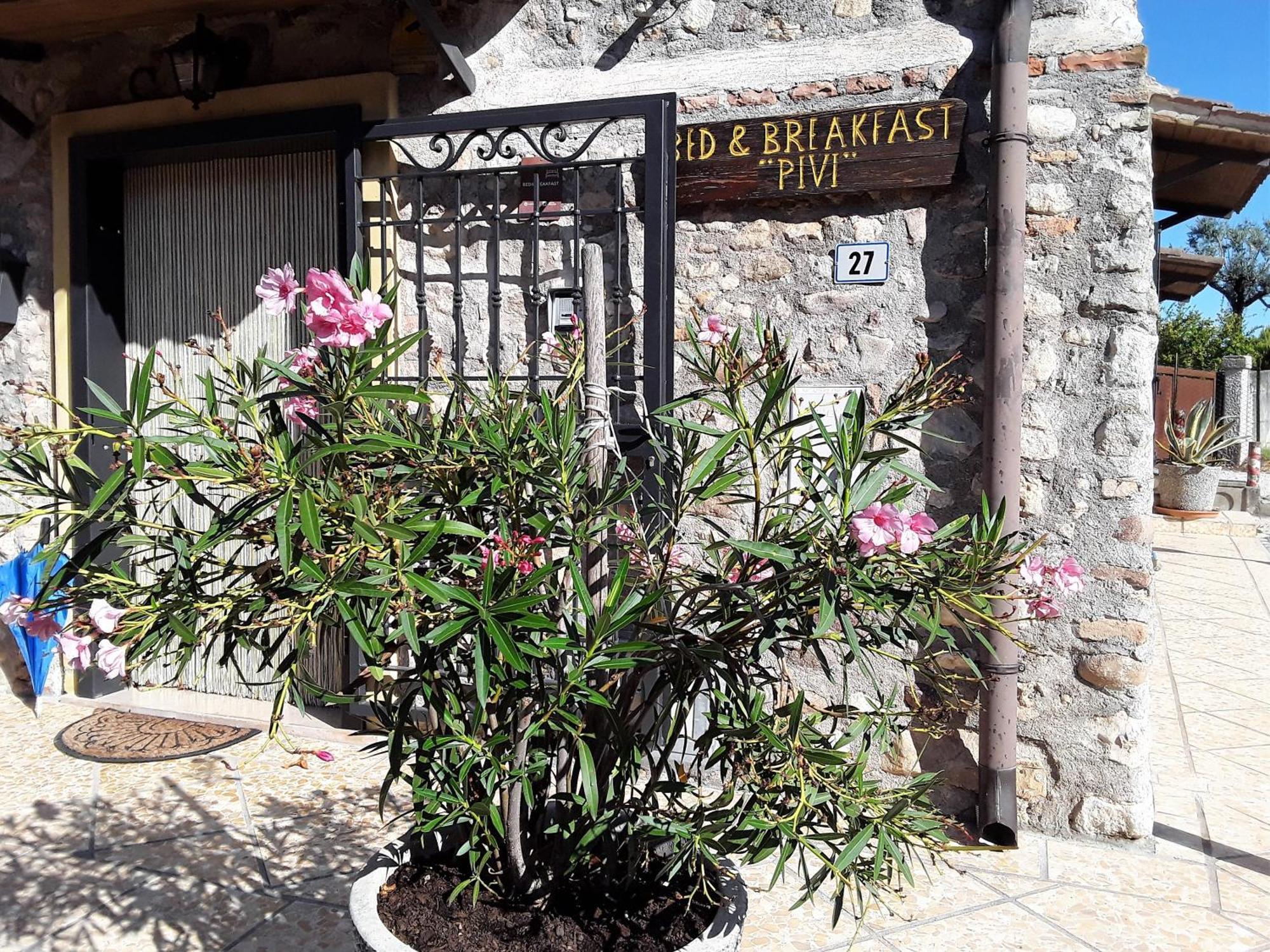 Bed & Breakfast Pivi